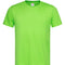 Kiwi Green