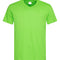 Kiwi Green
