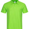 Kiwi Green