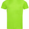 Kiwi Green