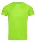 Kiwi Green