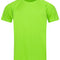 Kiwi Green
