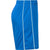 James & Nicholson - Basic Sport Shorts - Royal/White