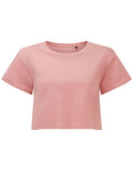 Dusky Pink