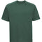 Bottle Green