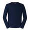 French Navy