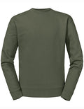 The Authentic Sweat Olive