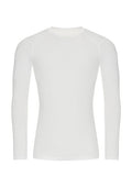 Arctic White