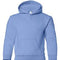 Carolina Blue