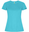 Turquoise 12