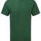 Sport Dark Green