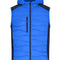 Blue/Navy